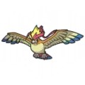 Pidgeot