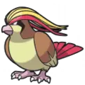 Pidgeot