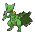 Sceptile