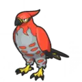 Talonflame